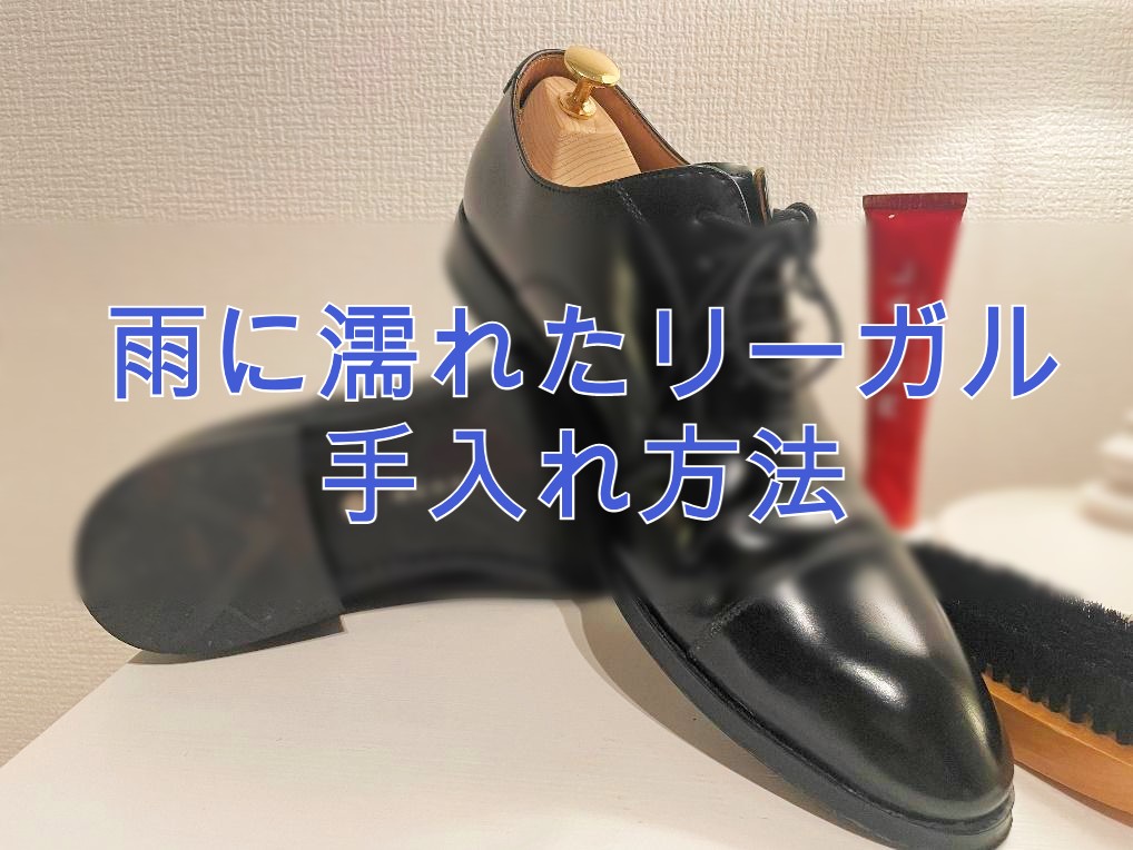 雨に濡れたリーガルの手入れ方法