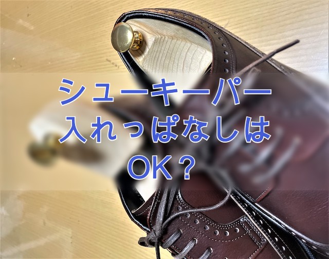 リーガル シューキーパー サイズL briga0030ac-hole-01.jpg?fitin=